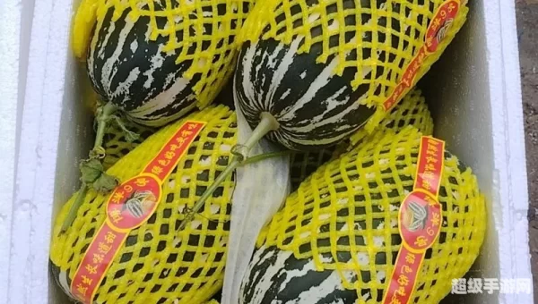 精品1区2区3区芒果