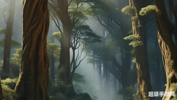 阴暗森林