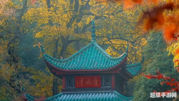霜叶红于二月花是什么植物