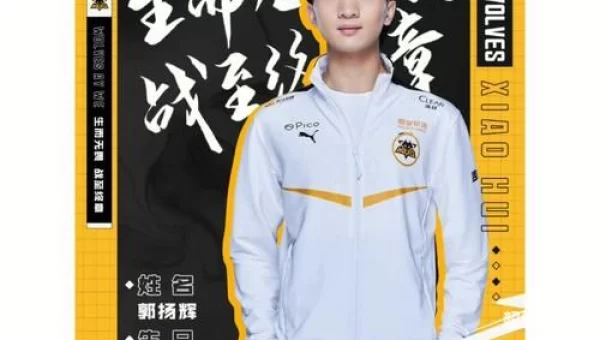 狼队下载