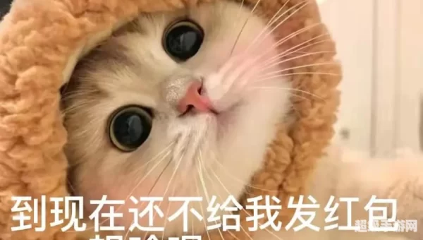 要红包的表情包
