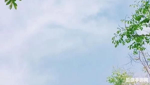 2021最流行锁屏壁纸