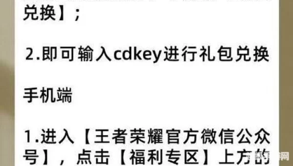 王者荣耀cdkey兑换