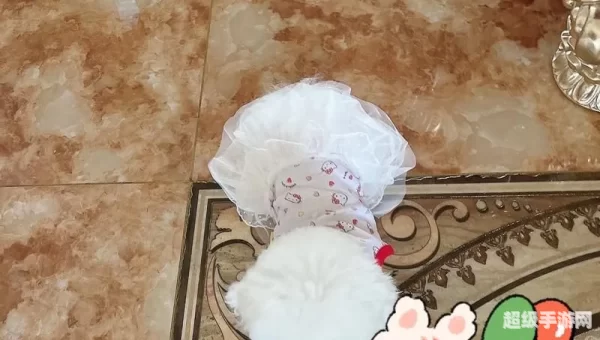 买家宝