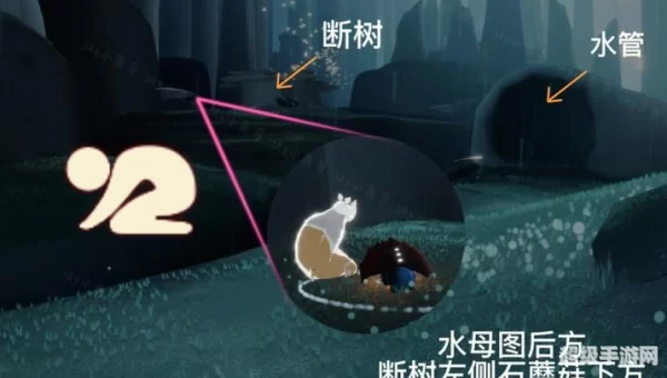 雨林先祖