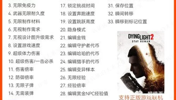 消逝的光芒2怎么联机