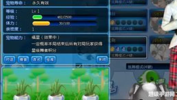 qq炫舞宠物